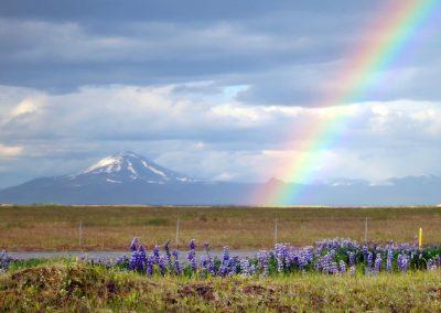 Vulkanen Hekla og en smuk regnbue - foto: Lars Viberg - ISLANDSREJSER