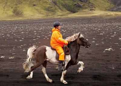 Ridetur på Islandske heste i Island