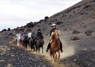 Ridetur i Island på islandske heste.