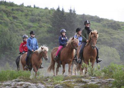 Ridetur i Island på de skønne og fortrolige islandske heste.