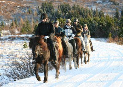 Rideture i Island på islandske heste