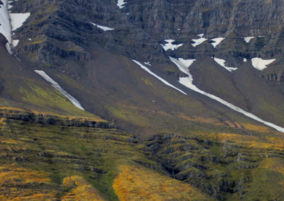 Aktiviteter og dagture - Østfjordene i Island - hike med lokale