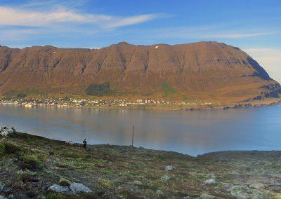 Aktiviteter og dagture - Østfjordene i Island - hike med lokale