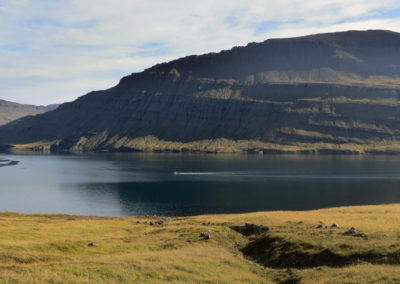 Aktiviteter og dagture - Østfjordene i Island - hike med lokale