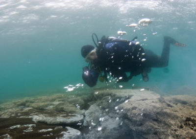 Geotermisk dykning i Island - Klaifervatn - på kør-selv ferie og bilferie med ISLANDSREJSER