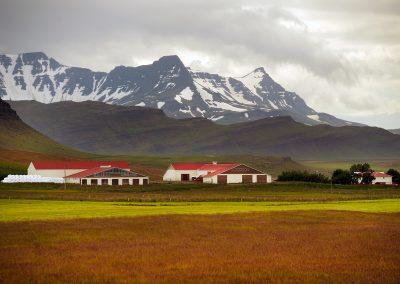 Gård ved Borgarfjördur området med bjerge i baggrunden