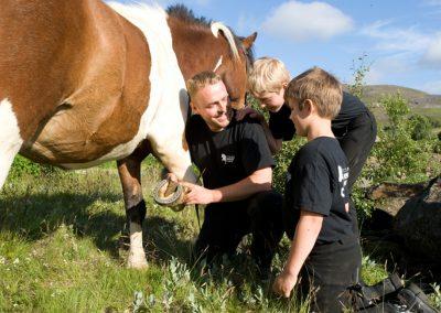 En dag på hestefarmen - Laxnes og islandske heste med ISLANDSREJSER
