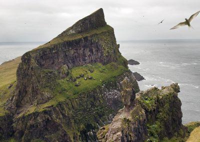 Den smukke ø Mykines på Færøerne. Islandsrejser arrangere rejsen for dig.