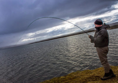 Fiskekortet - veidikortid og ørredfiskeri i Island - over 30 søer fordelt i Island