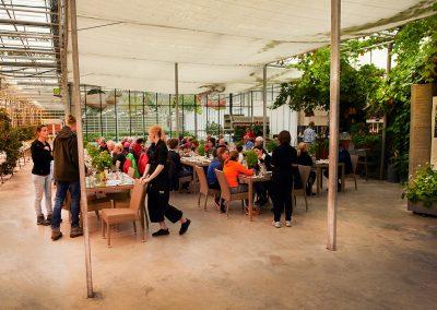 Ved Fridheimar i Reykholt kan man spise lækker tomatsuppe i den hyggelige café inden i drivhusene :: foto: Lars Viberg - ISLANDSREJSER