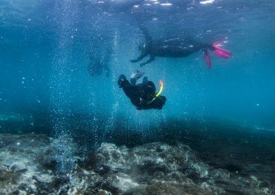 Geotermisk snorkling i Island - Klaifervatn - på kør-selv ferie og bilferie med ISLANDSREJSER