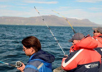 Havfiskeri i Island fra Reykjavik på kør-selv ferie og bilferie med ISLANDSREJSER