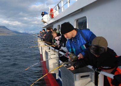 Havfiskeri i Island fra Reykjavik på kør-selv ferie og bilferie med ISLANDSREJSER