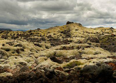 Mosbegroede lavaområder efter Hengill vulkanen på kør-selv ferie bilferie og grupperejser i Island med ISLANDSREJSER