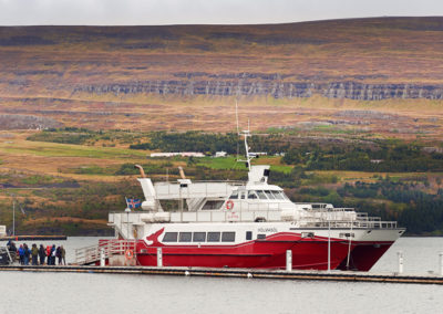 Hvalsafari på kør-selv ferie og bilferie i Island fra Akureyri