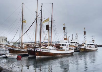 Hvalsafari fra Husavik med ISLANDSREJSER