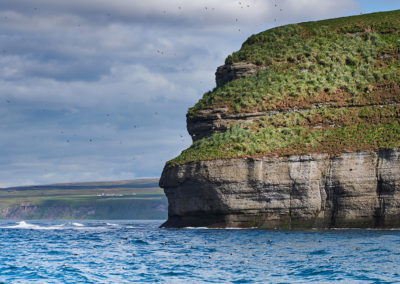 Hvalsafari fra Husavik med ISLANDSREJSER