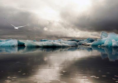 Jökulsarlon gletsjerlagune i Island