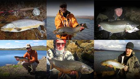 Lystfiskeri i Island med fiskekortet - ørredfiskeri og røding