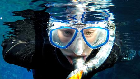 geotermisk snorkling ved Kleifervatn i Island