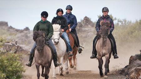 Islandske heste - rideture med ISLANDSREJSER - en af vores specialer