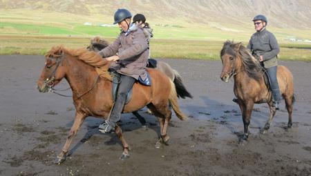 Storslåede rideture på islandske heste - aktiviteter i Island