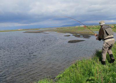 Laksefiskeri i Island med ISLANDSREJSER - Flex på klingen igen...