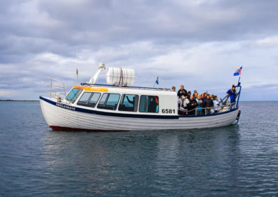 Se søpapegøjer i Island fra Reykjavik på din kør-selv ferie, bilferie eller grupperejse med ISLANDSREJSER