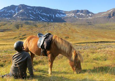 Pause fra ridetur - her ved de smukke Østfjorde