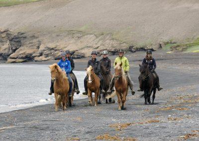 Rideture i Island på islandske heste ved Husavik og Myvatn