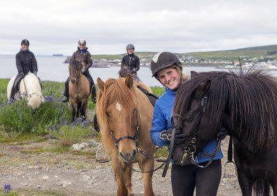 Rideture i Island på islandske heste ved Husavik og Myvatn