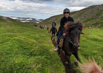 Rideture i Island på islandske heste ved Husavik og Myvatn