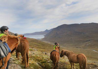 Rideture i Island på islandske heste i Øst-Island