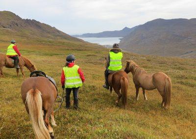 Rideture i Island på islandske heste i Øst-Island