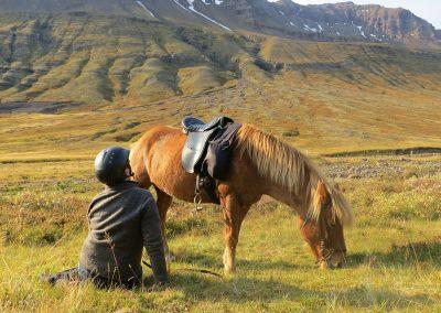 Rideture i Island på islandske heste i Øst-Island med ISLANDSREJSER