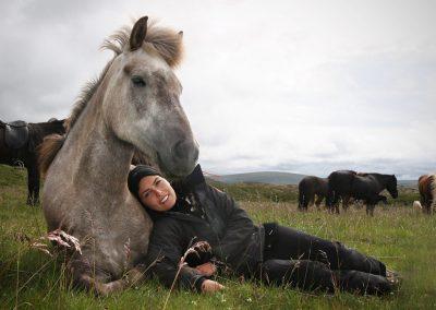 Rideture i Island på islandske heste tæt ved Reykjavik