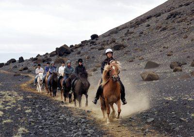 Rideture i Island på islandske heste tæt ved Reykjavik