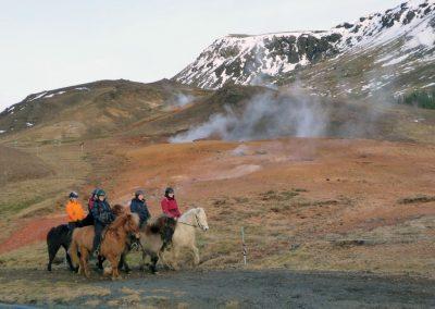 Rideture i Island på islandske heste i og varme kilder