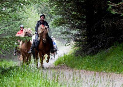 Rideture i Island på islandske heste i og varme kilder