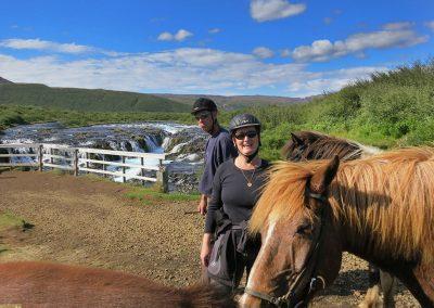 Rideture i Island på islandske heste tæt ved Geysir