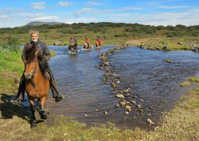 Rideture i Island på islandske heste tæt ved Geysir