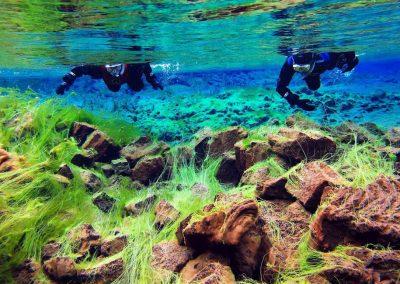 Snorkle ved Thingvellir og Silfra i Island på kør-selv ferie og bilferie med ISLANDSREJSER