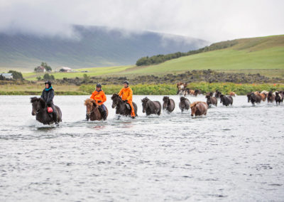 Rideferie på Island - rideture på islandske heste med ISLANDSREJSER