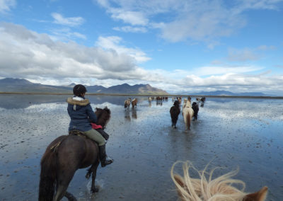 Island rideferie med ISLANDSREJSER