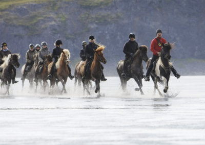 Rideferie på islandske heste med ISLANDSREJSER