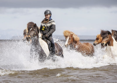 Rideferie på islandske heste med ISLANDSREJSER