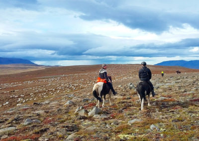 Rideferie rideture og fåresamling på islandske heste med ISLANDSREJSER