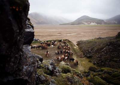 Rideferie rideture og fåresamling på islandske heste med ISLANDSREJSER