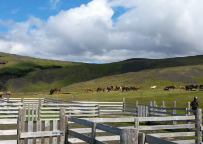 Rideferie rideture på islandske heste med ISLANDSREJSER