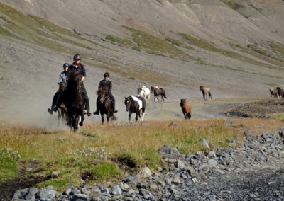 Rideferie og rideture på Island og islandske heste med Islandshestar og ISLANDSREJSER